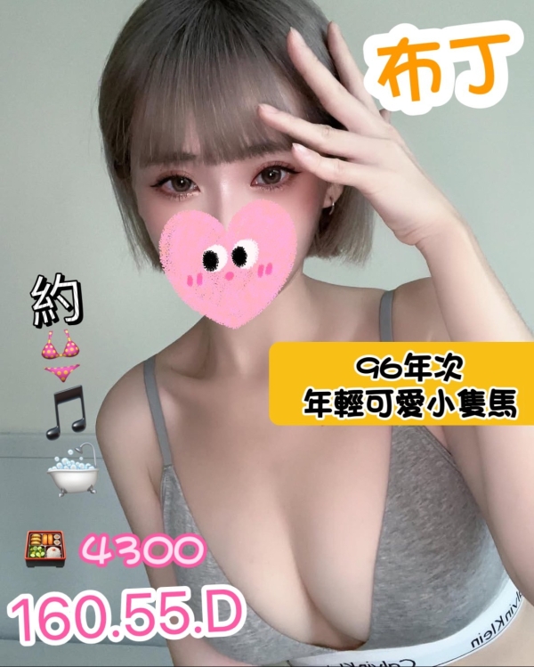 布丁 160/55/D