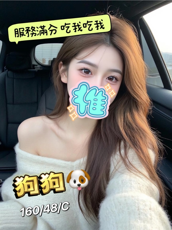 狗狗 160/48/C