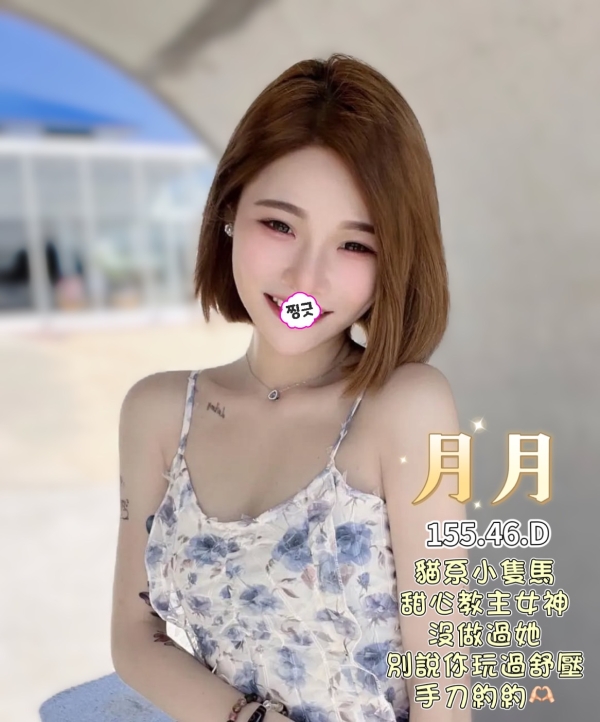 月月 155/46/D