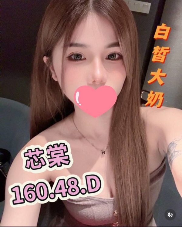 芯棠 160/48/D