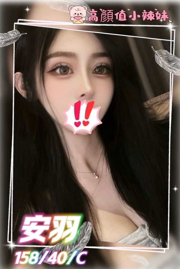 安羽 158/40/C