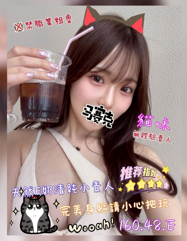 貓咪 160/48/E