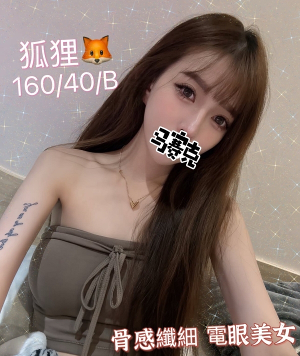 狐狸 160/40/B
