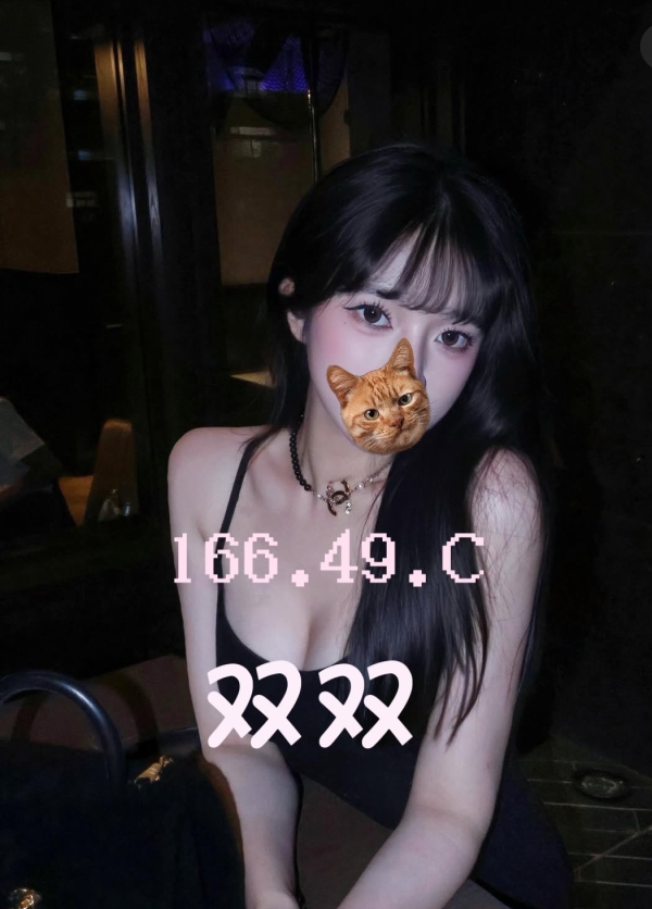 双双 166/49/C