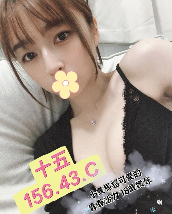 十五 156/43/C
