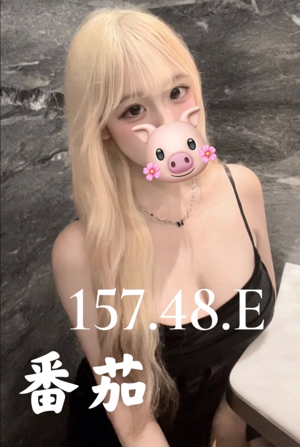 番茄 157/48/E